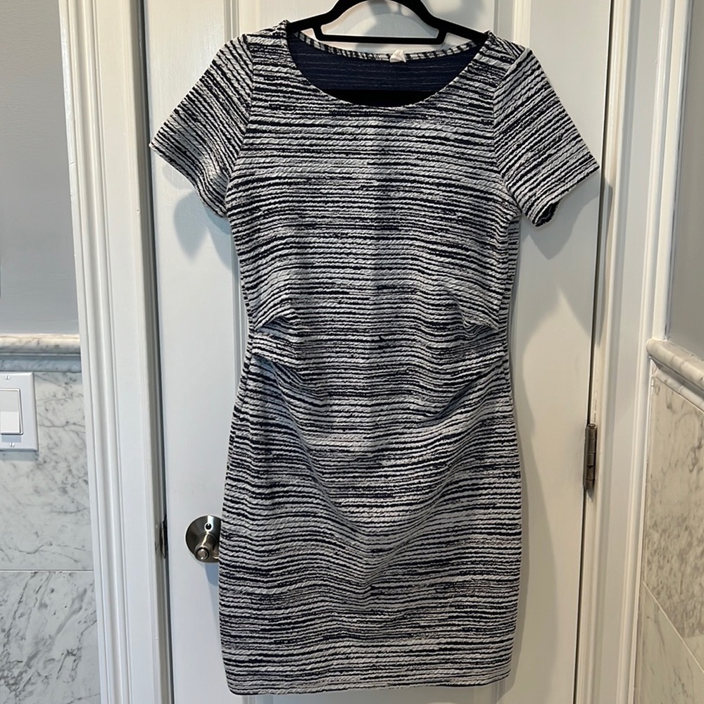 Pinkblush Maternity Dress